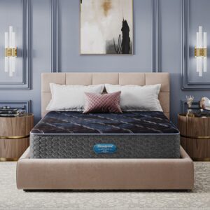 Beautyrest World Class Dreamwell Belmont Extra Firm Mattress